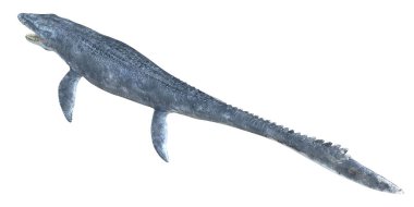 Tarih öncesi bir deniz sürüngeninin gerçekçi 3 boyutlu canlandırması