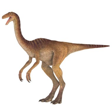 Bir theropod dinozorunun detaylı modeli