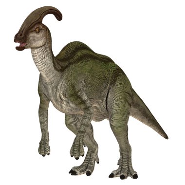 Bir Parasaurolophus dinozorunun gerçekçi tasviri.