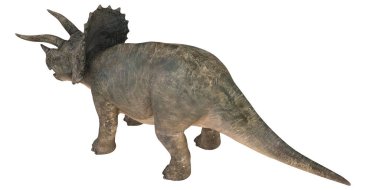 Triceratops dinazorunun gerçekçi 3 boyutlu canlandırması.