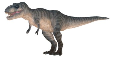 Beyaz arka planda Majestic Tyrannosaurus Rex