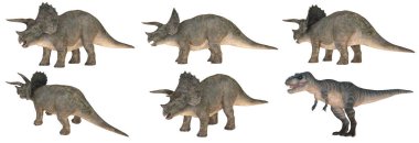 Triceratops ve T-Rex dinozorlarının 3 boyutlu modelleri.