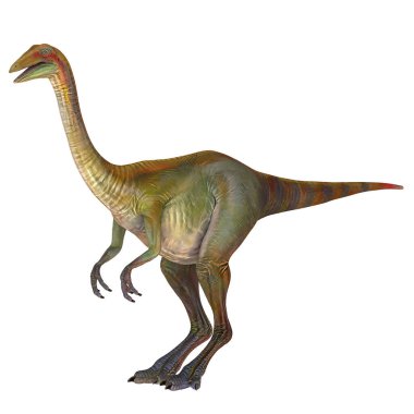 Gerçekçi ornithomimus dinozor çizimi