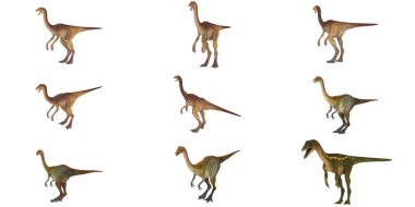 Çeşitli Theropod dinozorlarının tasviri