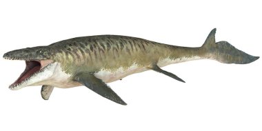 Canlı gibi görünen antik mozaik.