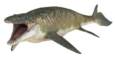 Tarih öncesi bir deniz yırtıcısının gerçekçi tasviri.