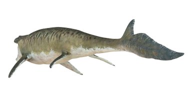 Tarih öncesi deniz yaratığı çizimi