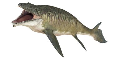 Tarih öncesi bir deniz yaratığının gerçekçi tasviri.