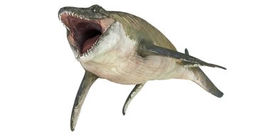 Güçlü çene gösteren Majestic Mosasaurus.