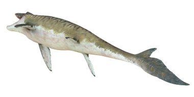 Görkemli tarih öncesi deniz yırtıcısı tasviri.