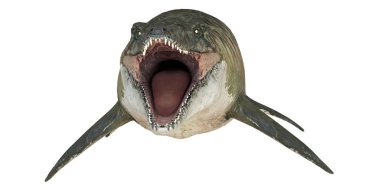 Ağzı açık ve keskin dişleri olan tarih öncesi köpekbalığı.