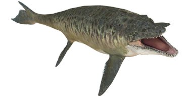 Tarih öncesi bir deniz yırtıcısının gerçekçi modeli..