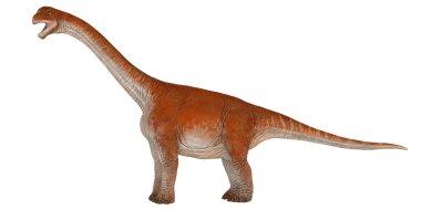 Uzun boyunlu ve kuyruklu görkemli bir dinozor modeli.