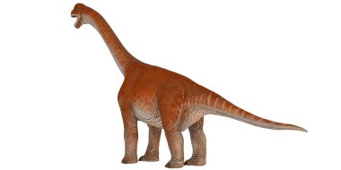 Görkemli brachiosaurus canlı gibi duruyor..