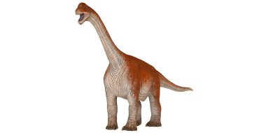 Beyaz arka planda Majestic Brachiosaurus dinozoru