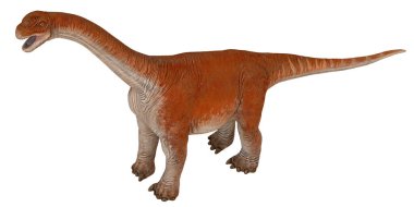 Brachiosaurus dinazorunun canlı benzeri modeli.