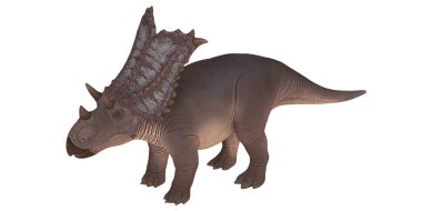 Triceratops dinazorunun gerçekçi modeli.