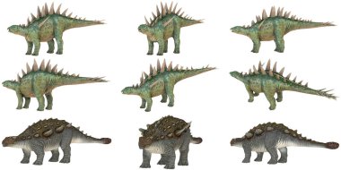 Çeşitli dinozor türlerinin tasviri