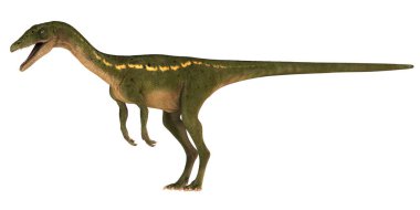 Beyaz arkaplanda yeşil dinozor