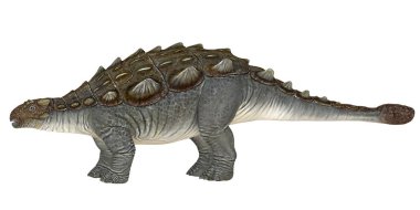 Bir Ankylosaurus dinozorunun detaylı çizimi.