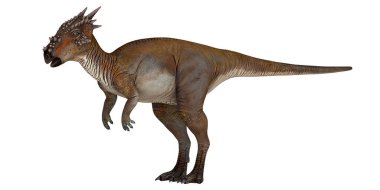 Bir Pachycephalosaurus dinozorunun tasviri.