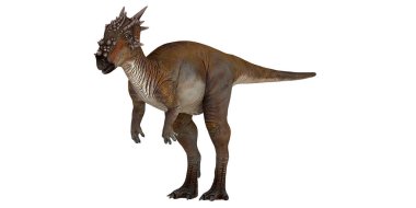 Kafasında belirgin çiviler olan dinozor modeli.