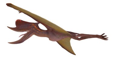 Tarih öncesi uçan bir sürüngenin tasviri.