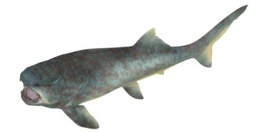 Gerçekçi dinozor çağı deniz yırtıcısı görüntüsü