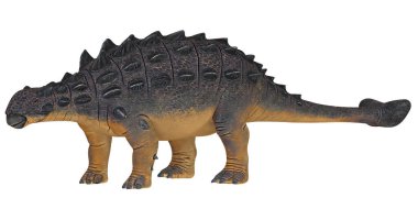 Bir Ankylosaurus dinozorunun detaylı modeli