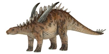 Bir Stegosaurus dinozorunun gerçekçi çizimi