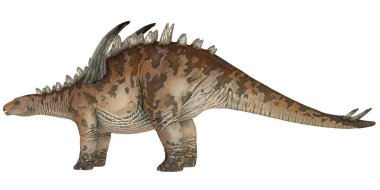 Profil görünümünde bir Stegosaurus dinozoru tasviri.