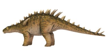 Beyaz arka planda gerçekçi Stegosaurus modeli
