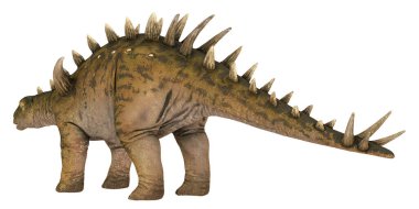 Profil görünümünde çivilenmiş bir dinozorun ayrıntılı modeli.