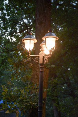 Sakin bir ormanlık alanda klasik sokak lambası.