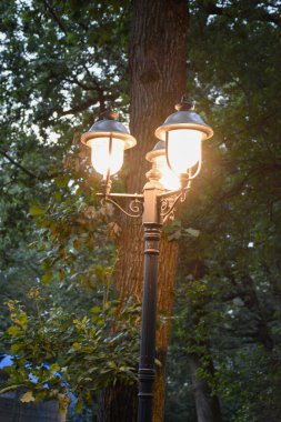 Orman ortamında aydınlatılmış klasik sokak lambası.