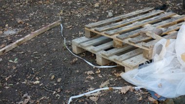 Ahşap paletler ve malzemeler orman zemininde