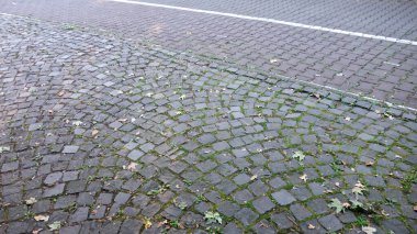 Beyaz çizgili yosunlu kaldırım taşı caddesi.