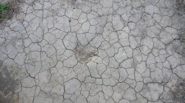 Kuru çatlamış toprak kuraklık belirtileri gösteriyor..