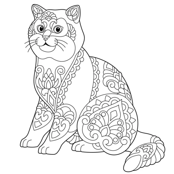 Hezká Britská Krátkosrstá Kočka Dospělý Omalovánky Stránky Mandala Stylu — Stockový vektor