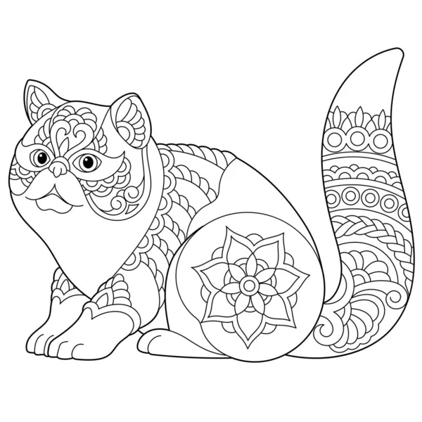 Милая Экзотическая Короткошерстная Кошка Книга Раскраски Взрослых Мандальском Стиле — стоковый вектор