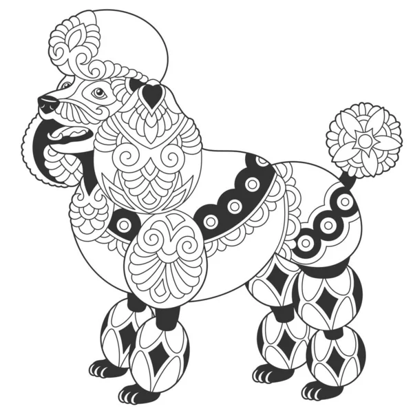 Conception Chien Caniche Mignon Coloriage Animal Avec Mandala Ornements Zentangle — Image vectorielle