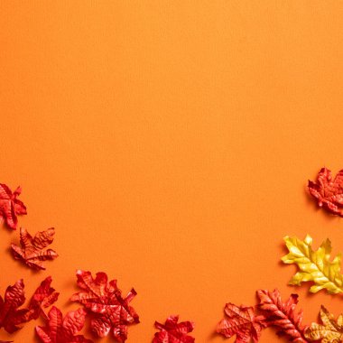 Akçaağaç yaprakları sonbahar mevsiminde tasarım elementleri için turuncu masa zemininde izole edilir.