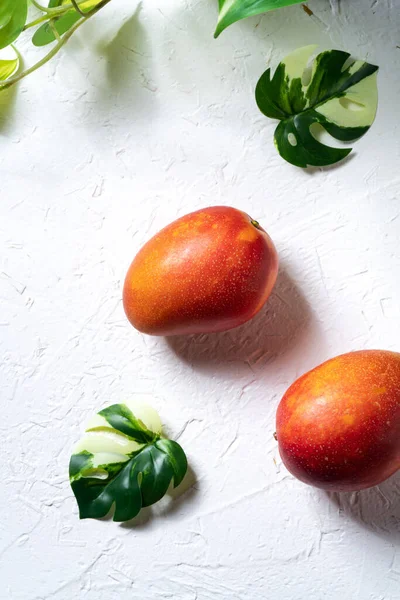 Mango Background Design Concept Top View Diced Fresh Mango Fruit — ストック写真
