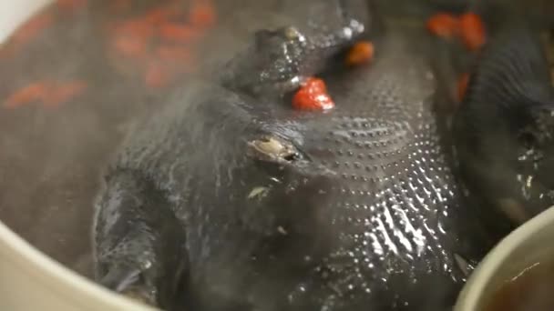 Pyszne Jedwabiste Kurczaki Zupa Kurczaka Czarnymi Kośćmi Chińską Medycyną Ziołową — Wideo stockowe
