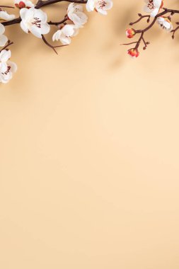 Beyaz erik çiçeği ve şenlikli dekorasyonla Çin 'in yeni yıl arkaplan fotokopi alanı tasarımı.