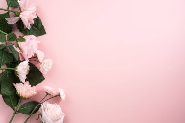 Sevgililer Günü ve Anneler Günü tasarım konsepti pembe gül, karanfil çiçeği ve pembe masa arkasında paketlenmiş hediye kutusu..