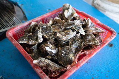 Grilled fresh oyster in Tainan, Taiwan, the famous Taiwanese street food gourmet.