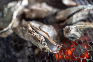 Grilled fresh oyster in Tainan, Taiwan, the famous Taiwanese street food gourmet.