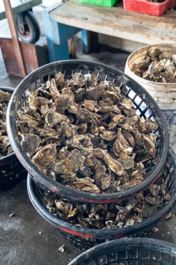 Grilled fresh oyster in Tainan, Taiwan, the famous Taiwanese street food gourmet.