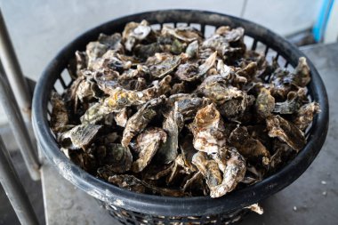 Grilled fresh oyster in Tainan, Taiwan, the famous Taiwanese street food gourmet.